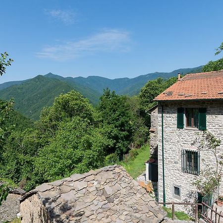La Casa Nel Bosco-Senza Auto Konuk evi Ponte della Venturina Dış mekan fotoğraf