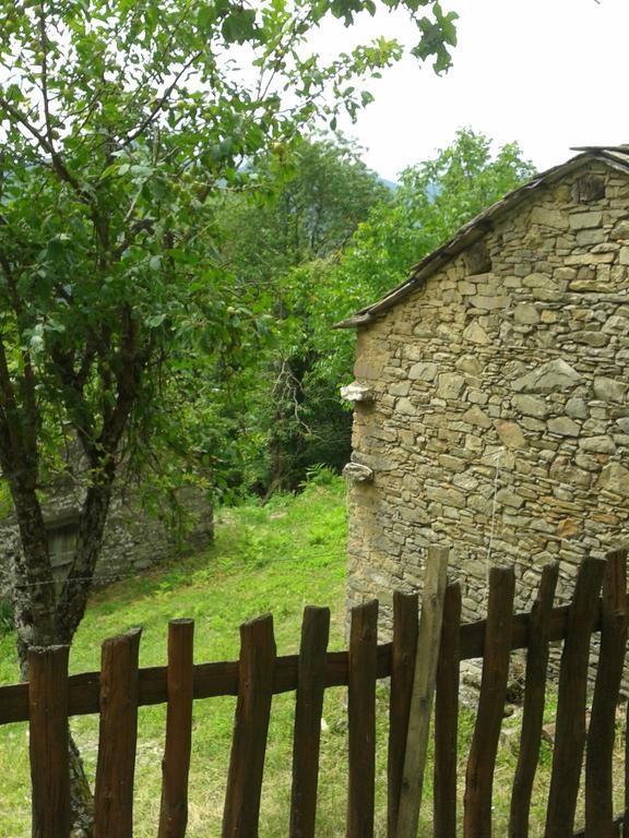 La Casa Nel Bosco-Senza Auto Konuk evi Ponte della Venturina Oda fotoğraf