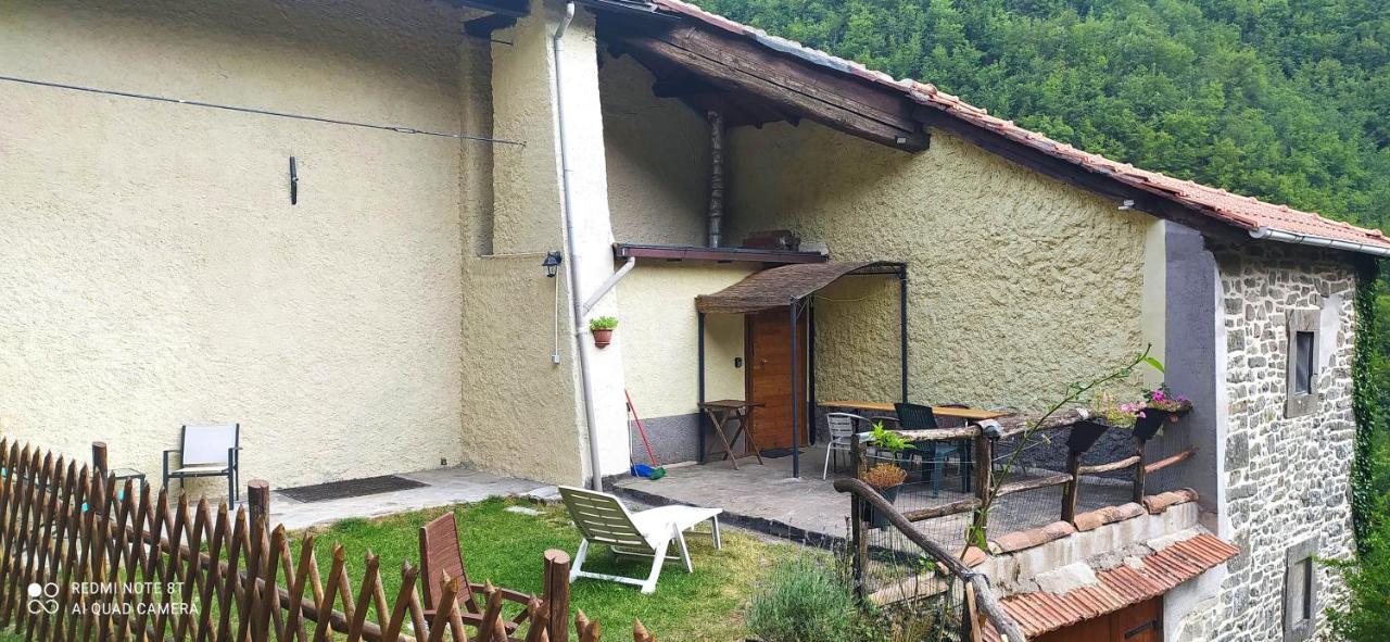 La Casa Nel Bosco-Senza Auto Konuk evi Ponte della Venturina Dış mekan fotoğraf