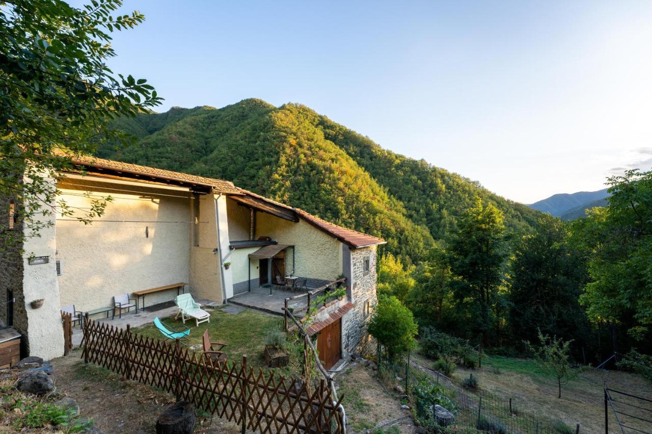 La Casa Nel Bosco-Senza Auto Konuk evi Ponte della Venturina Dış mekan fotoğraf