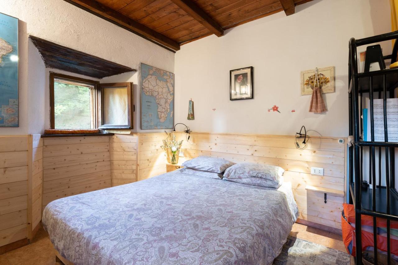 La Casa Nel Bosco-Senza Auto Konuk evi Ponte della Venturina Dış mekan fotoğraf