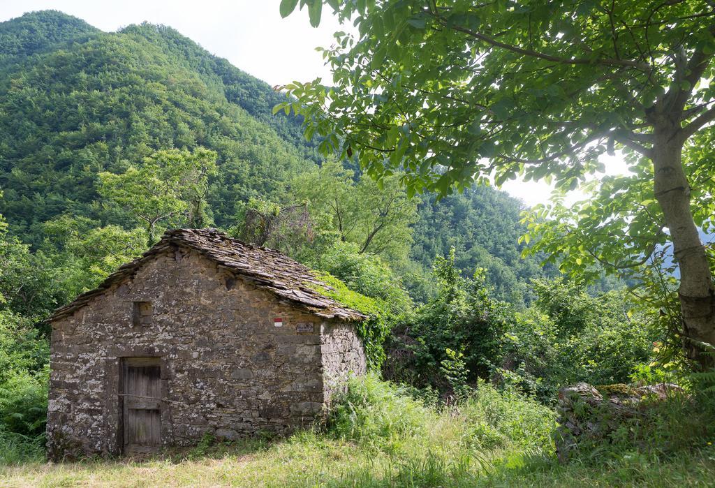 La Casa Nel Bosco-Senza Auto Konuk evi Ponte della Venturina Dış mekan fotoğraf