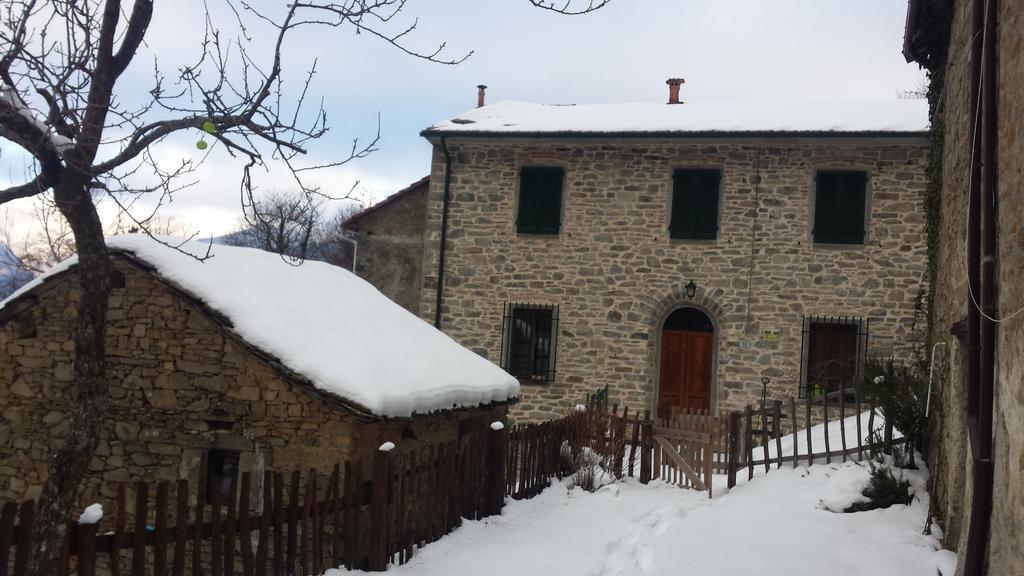 La Casa Nel Bosco-Senza Auto Konuk evi Ponte della Venturina Dış mekan fotoğraf