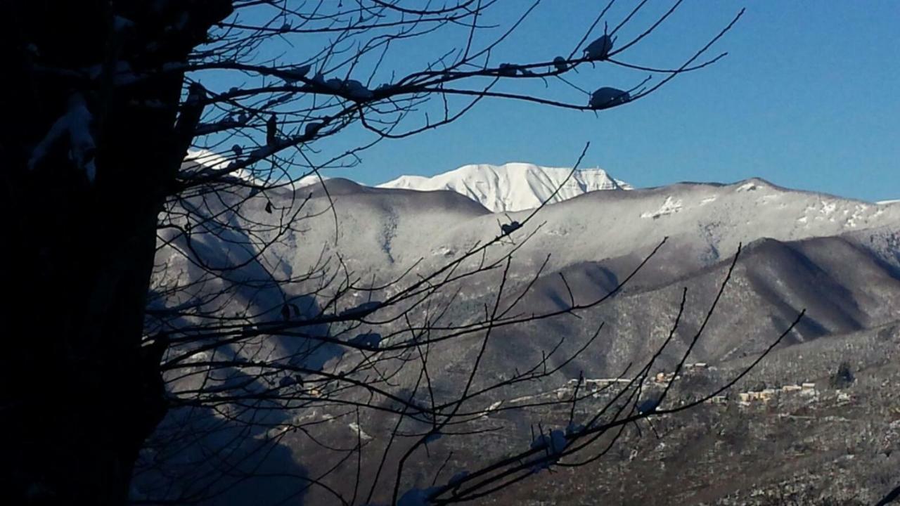 La Casa Nel Bosco-Senza Auto Konuk evi Ponte della Venturina Dış mekan fotoğraf